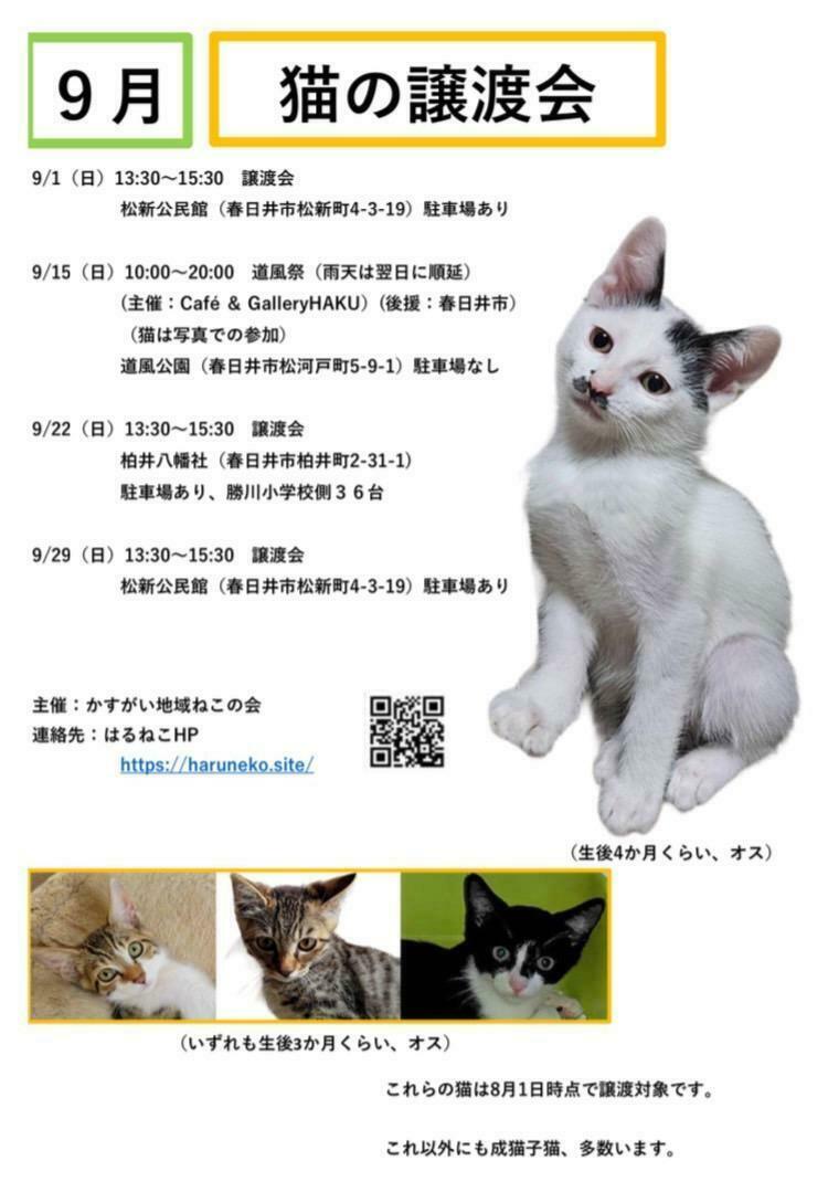 提供：かすがい地域ねこの会