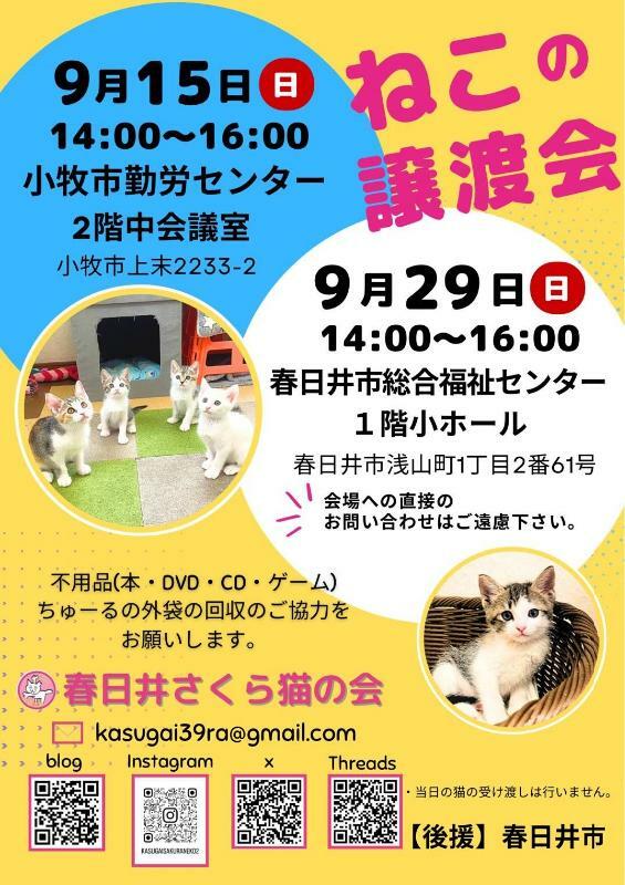 提供：春日井さくら猫の会