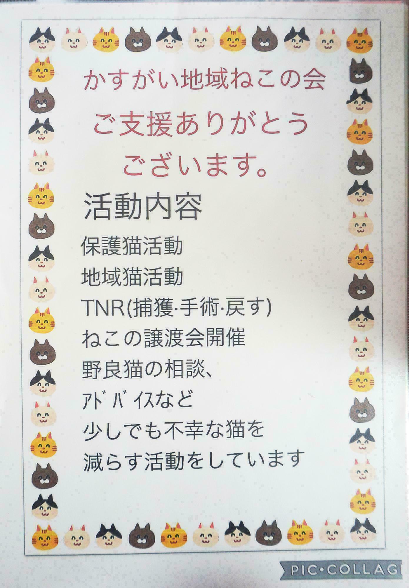 かすがい地域ねこの会活動内容