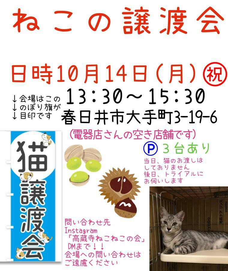 提供：高蔵寺ねこねこの会