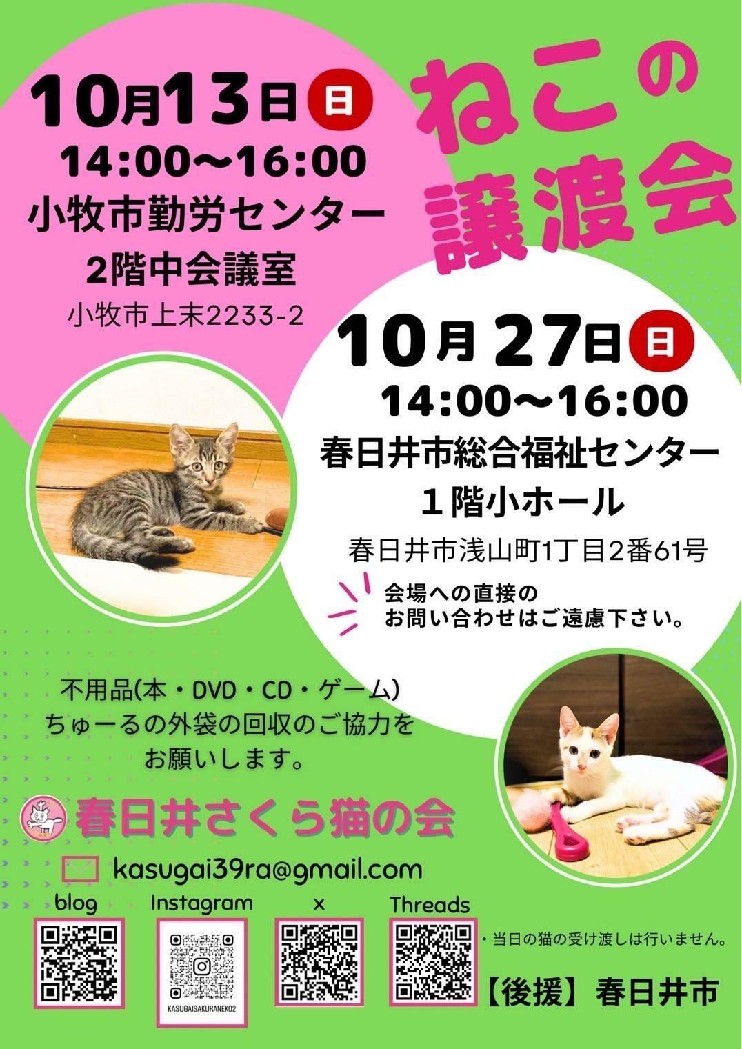 提供：春日井さくら猫の会