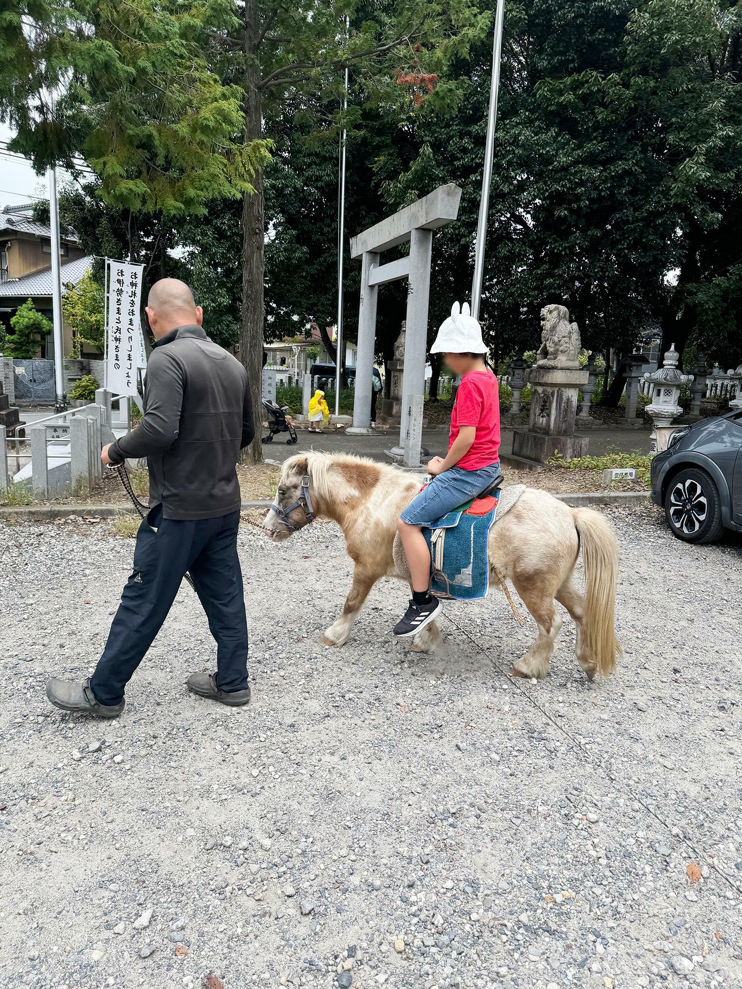 １回５００円でポニーに乗れます。