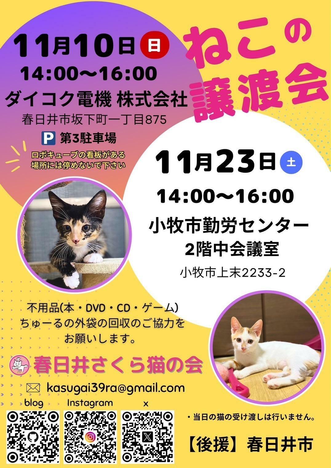 提供：春日井さくら猫の会