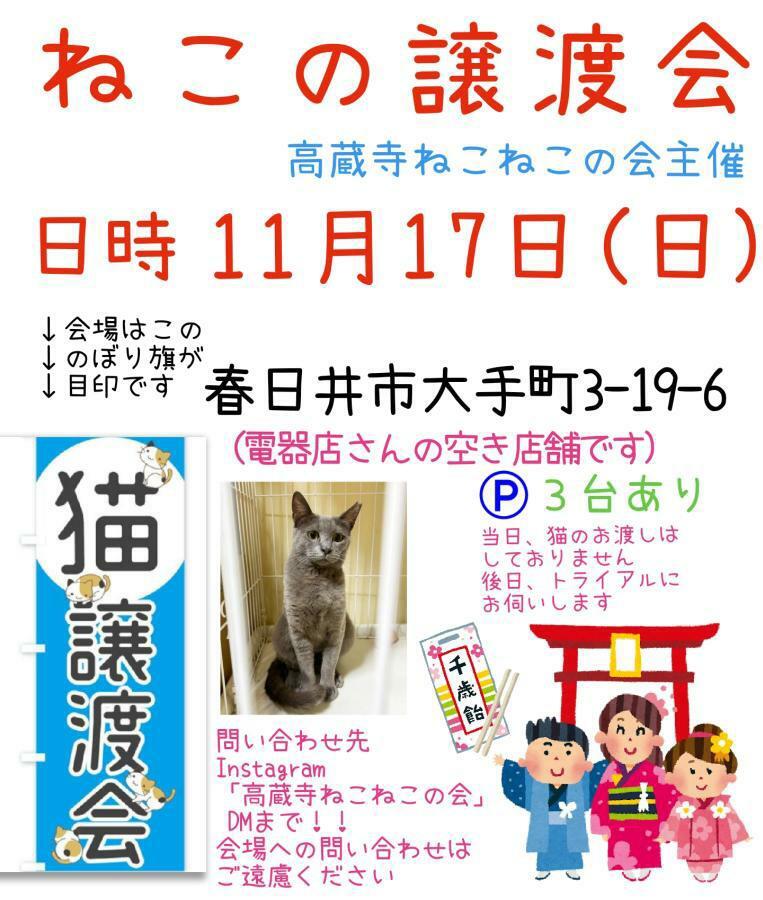 提供：高蔵寺ねこねこの会