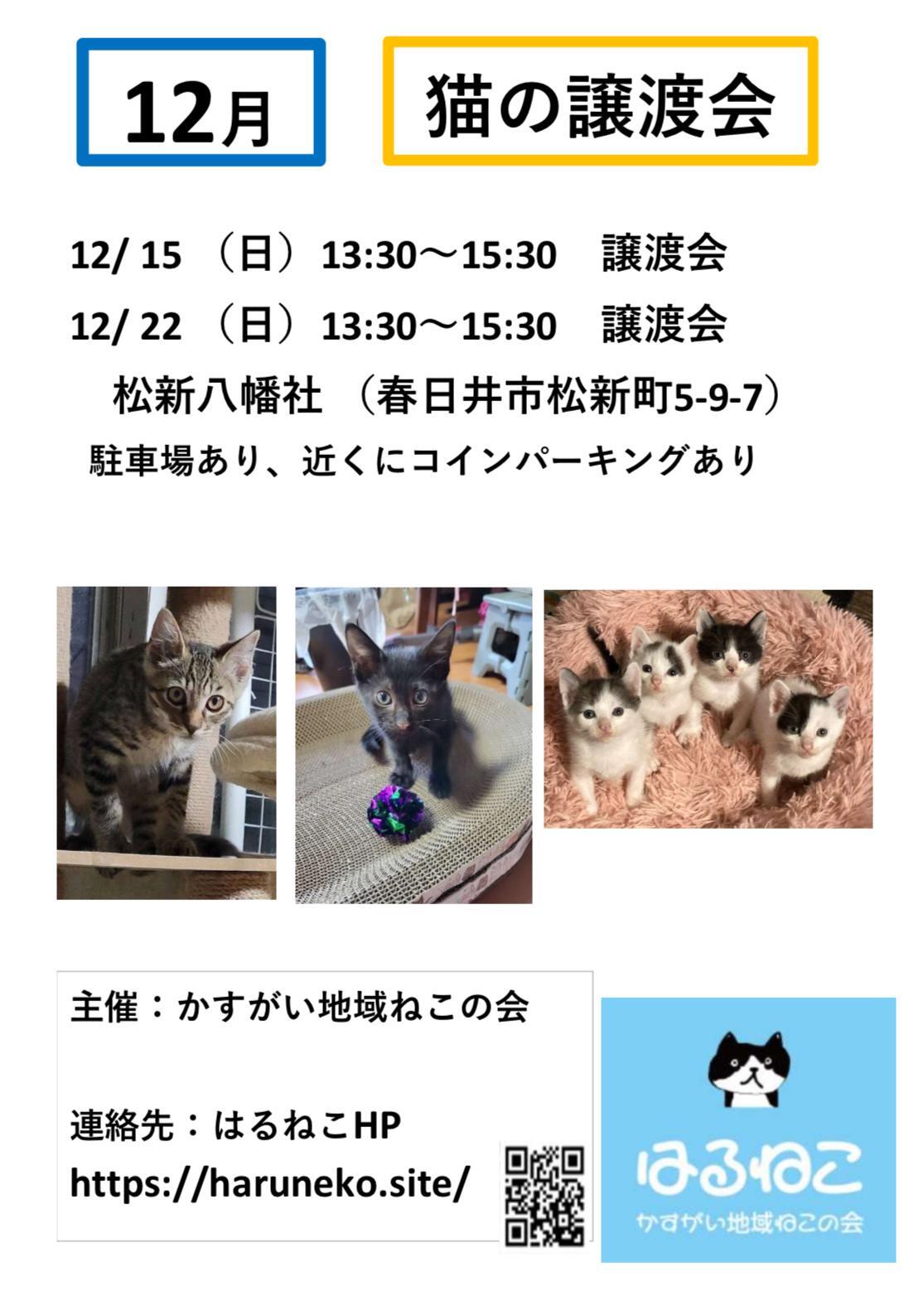 提供：かすがい地域ねこの会