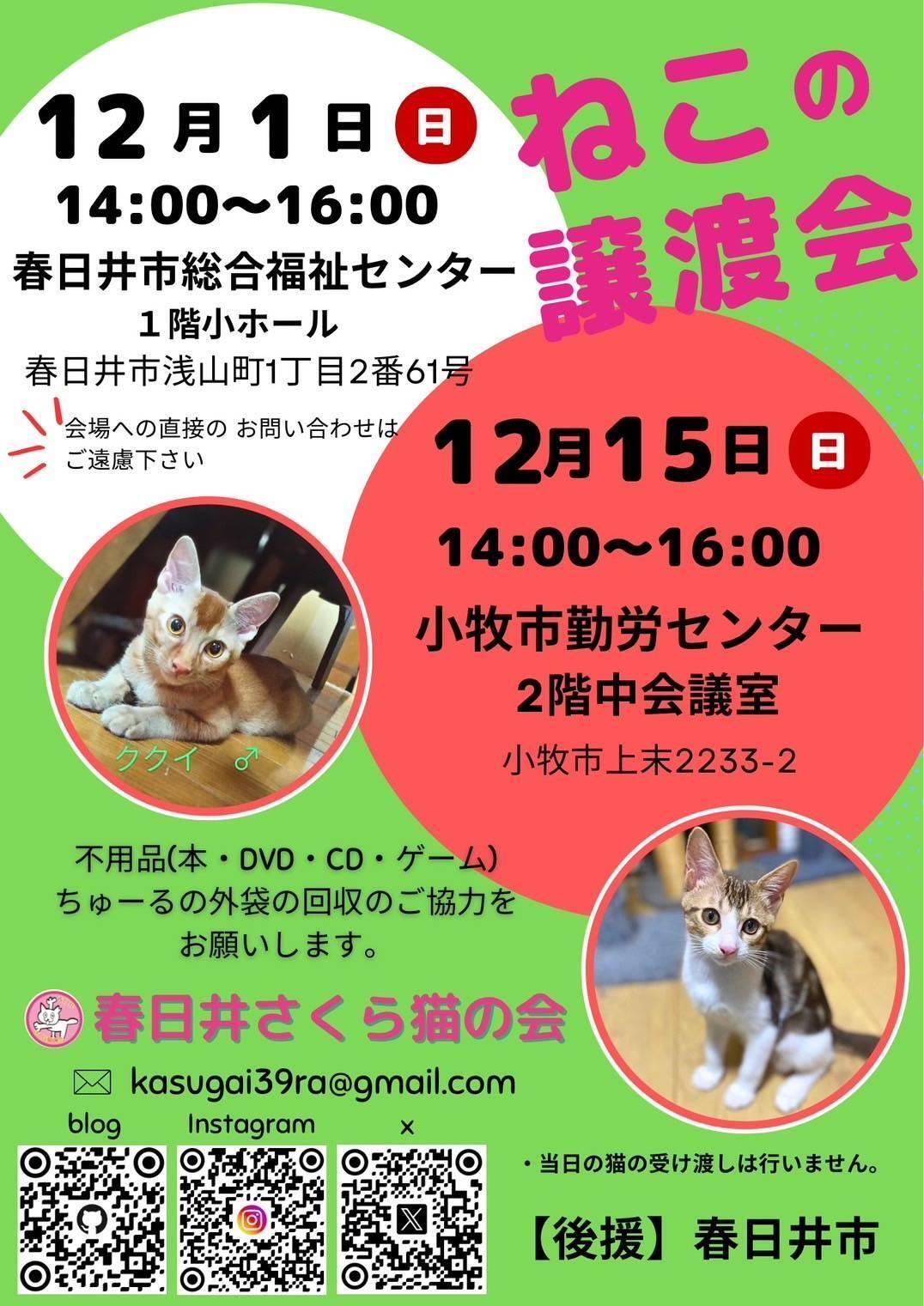 12月15日（日）に小牧市勤労センターでも保護猫譲渡会が開催されます。（提供：春日井さくら猫の会）