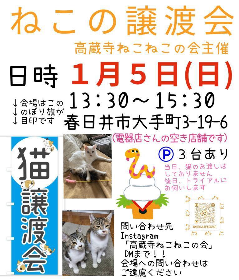 提供：高蔵寺ねこねこの会