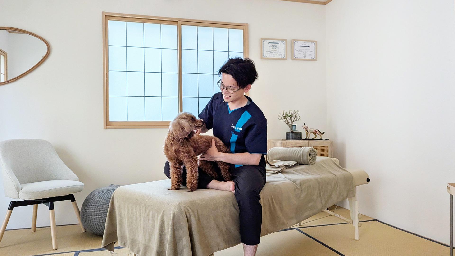 春日井市】新規オープン！飼い主さんも共に寛げるわんちゃん猫