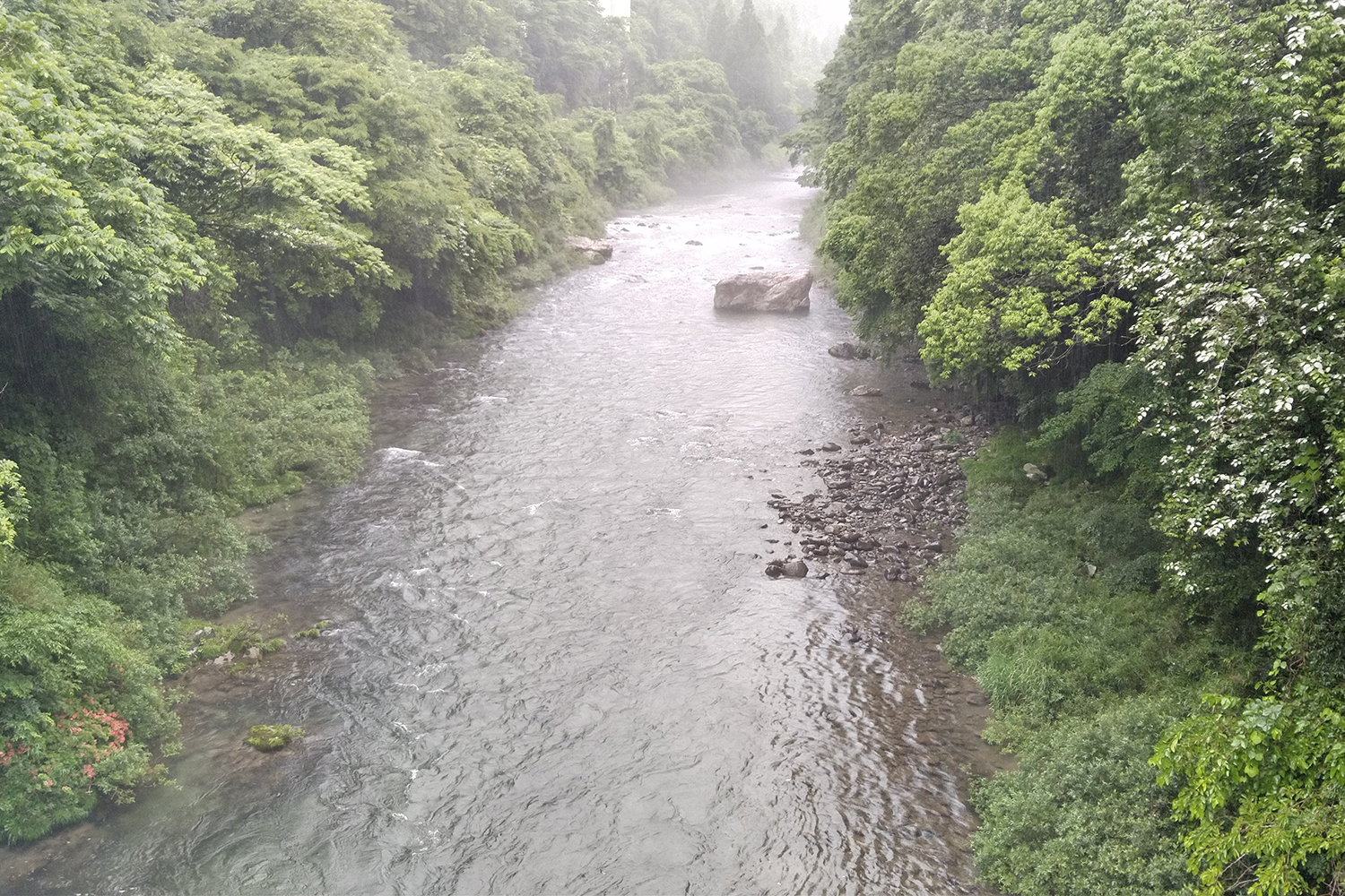 雨後の長良川支流那比川　増水しているが笹濁り程度で渓流釣りには好条件