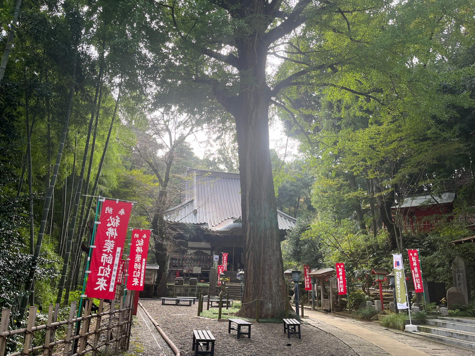 福王寺薬師堂'(野津田薬師堂)　2024年11月1日撮影