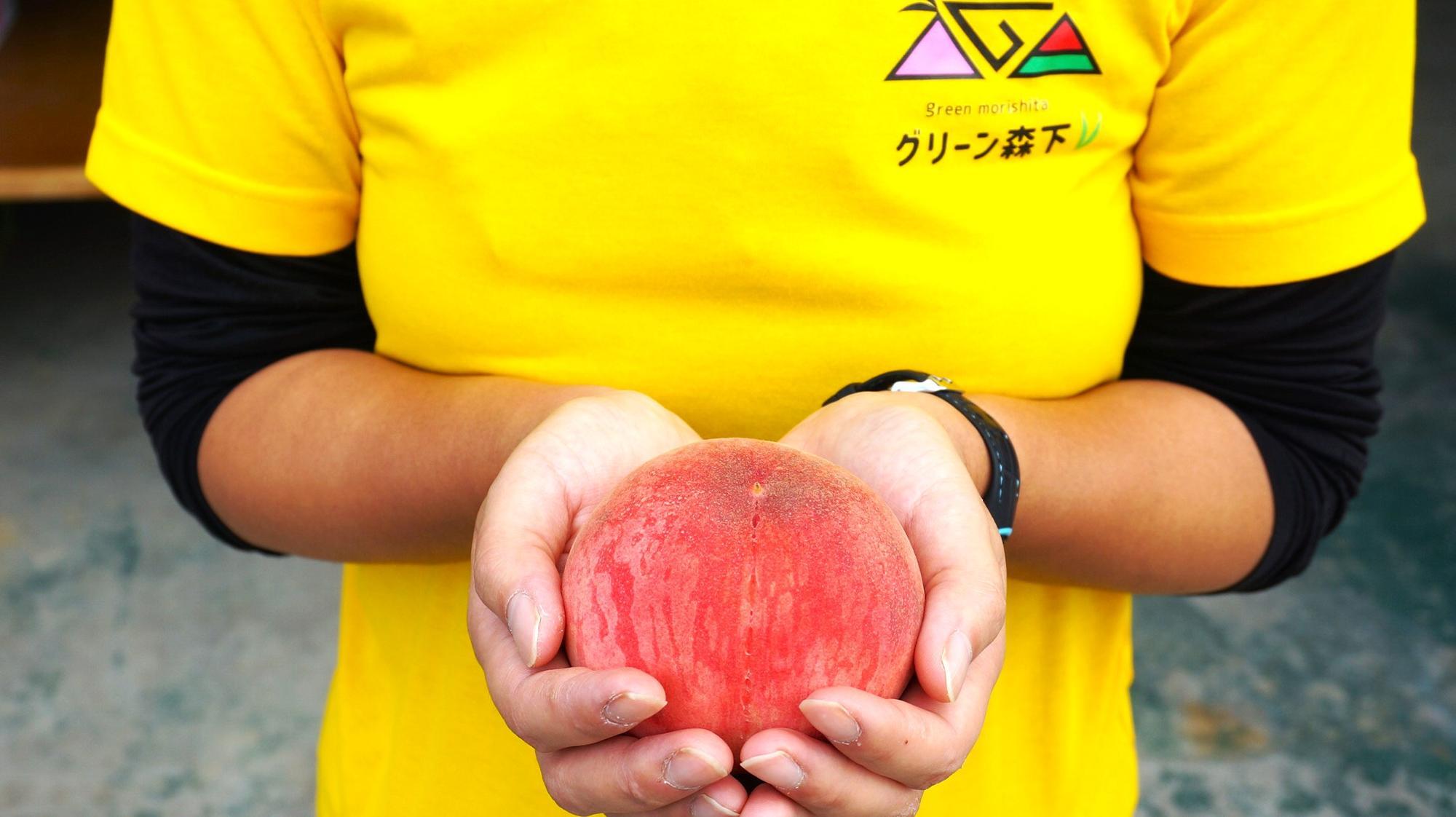 大玉あかつき 2Sサイズ 120円~(別途、贈答用あり)