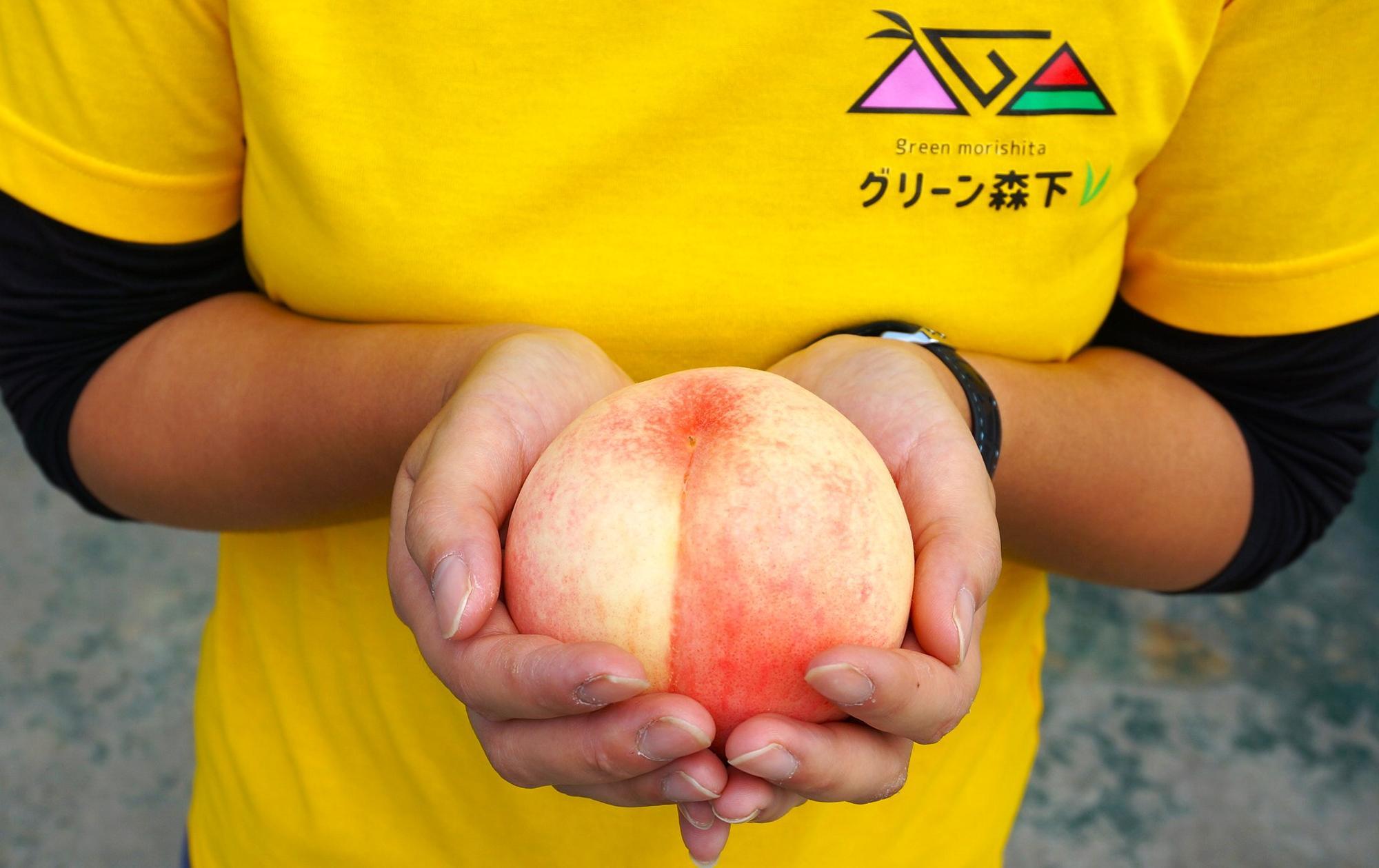 嶺鳳(れいほう) 2Sサイズ 120円~(別途、贈答用あり)