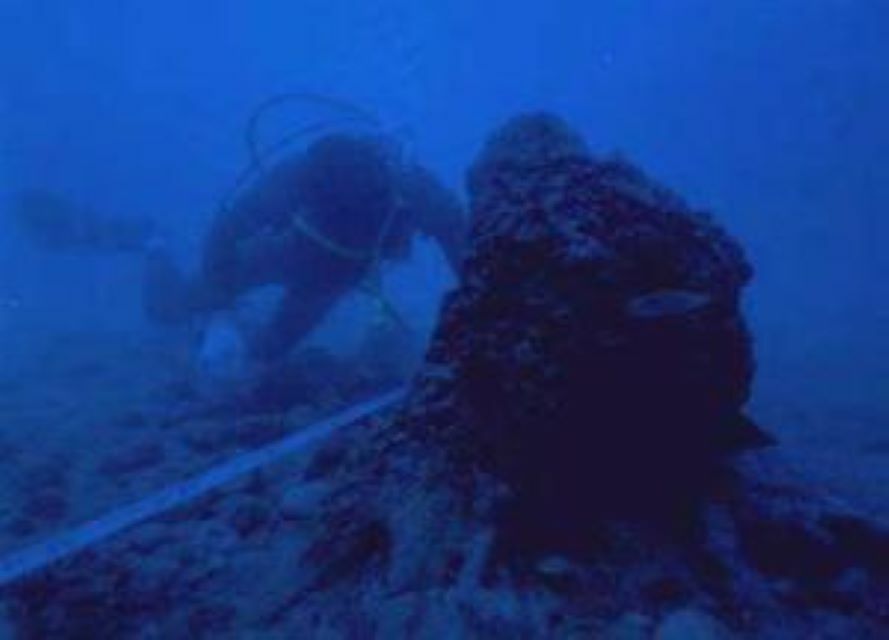 「海底林」の調査の様子。（画像引用：入善町ホームページより）