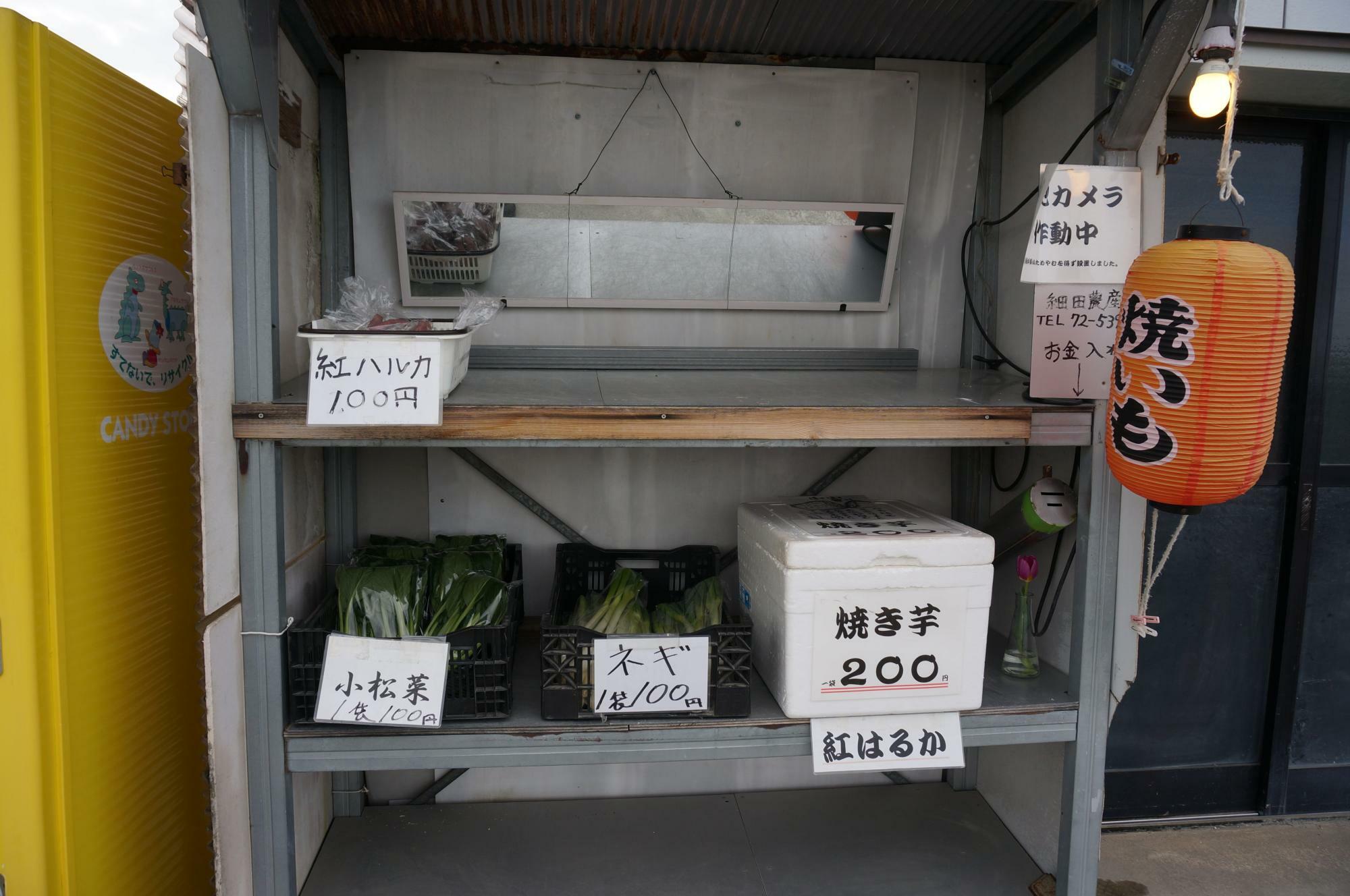 細田農産の無人販売所。焼いもは赤い提灯が目印！「遠くからでも見えるように」と細田さんが設置。