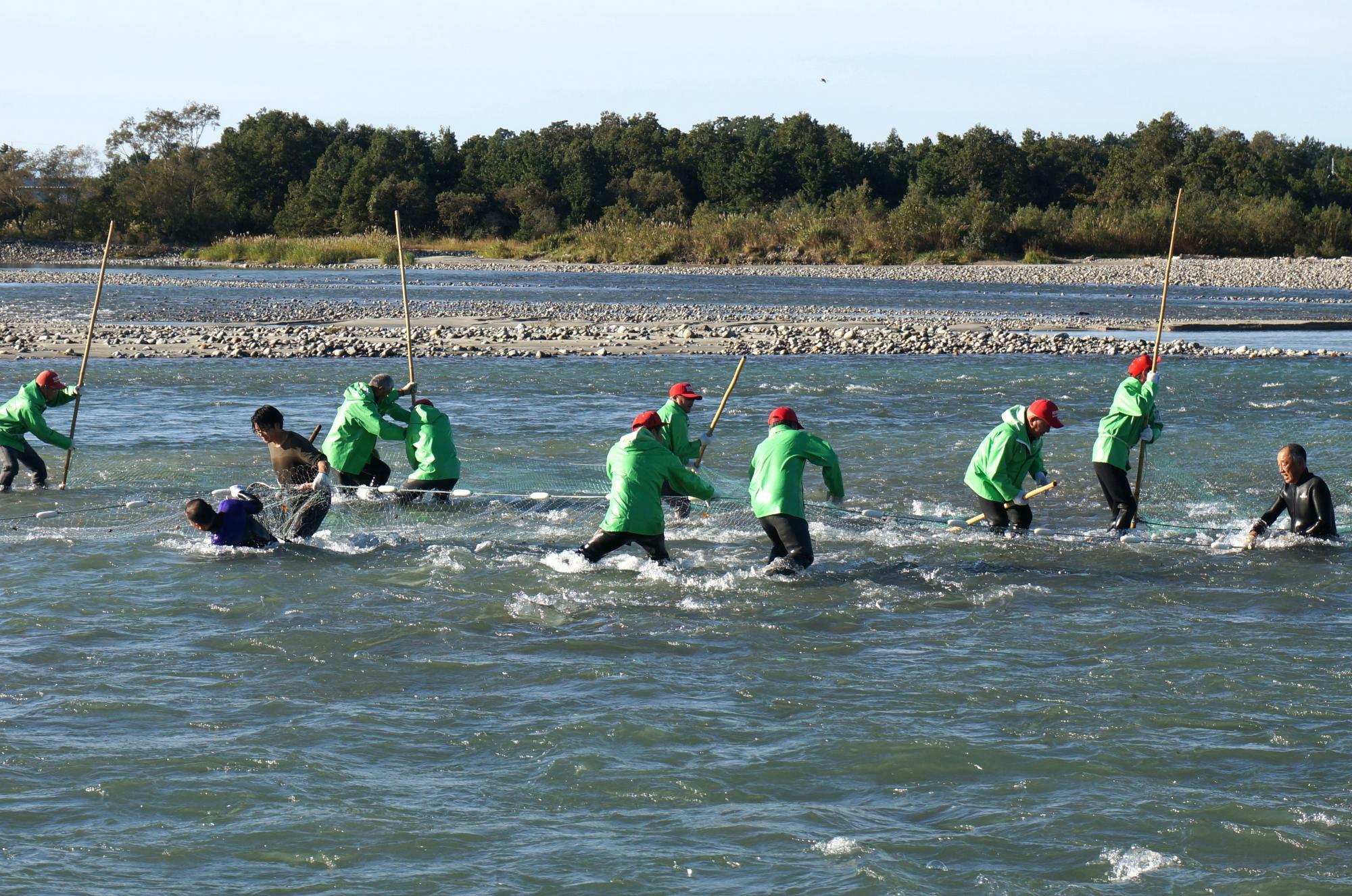 「流し網漁」でサケを追い込んでいる様子