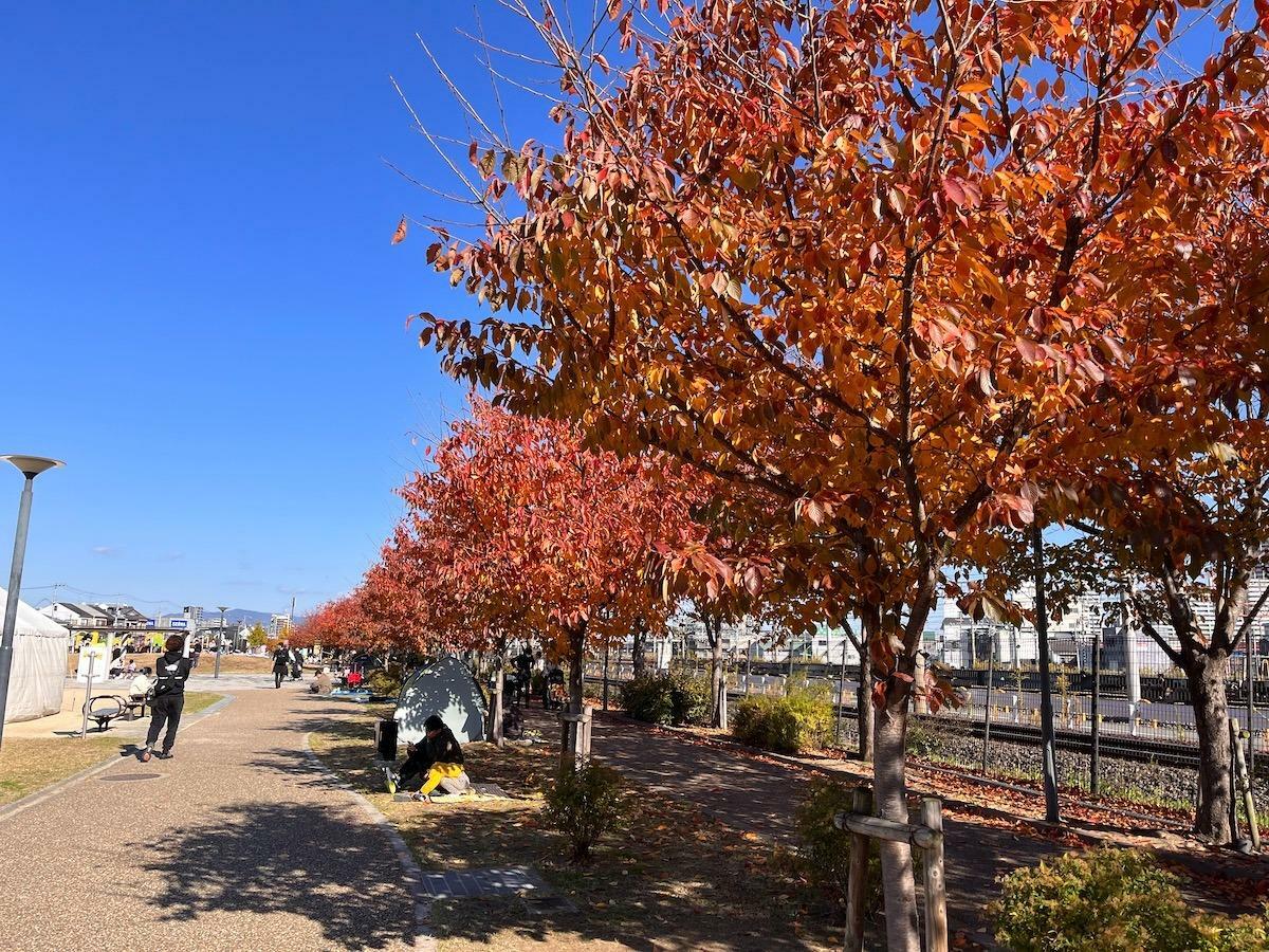 2023年11月26日撮影（秋フェスin明和池公園）