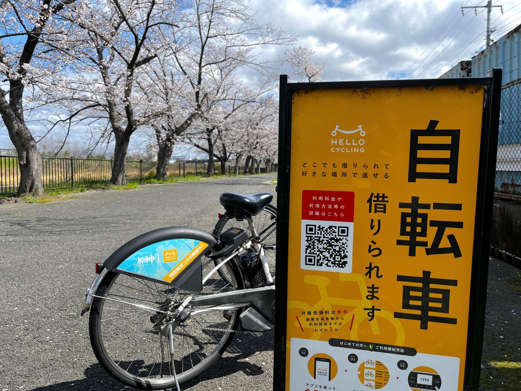 摂津市】0系新幹線と桜の競演！ 新幹線公園の桜が見頃です