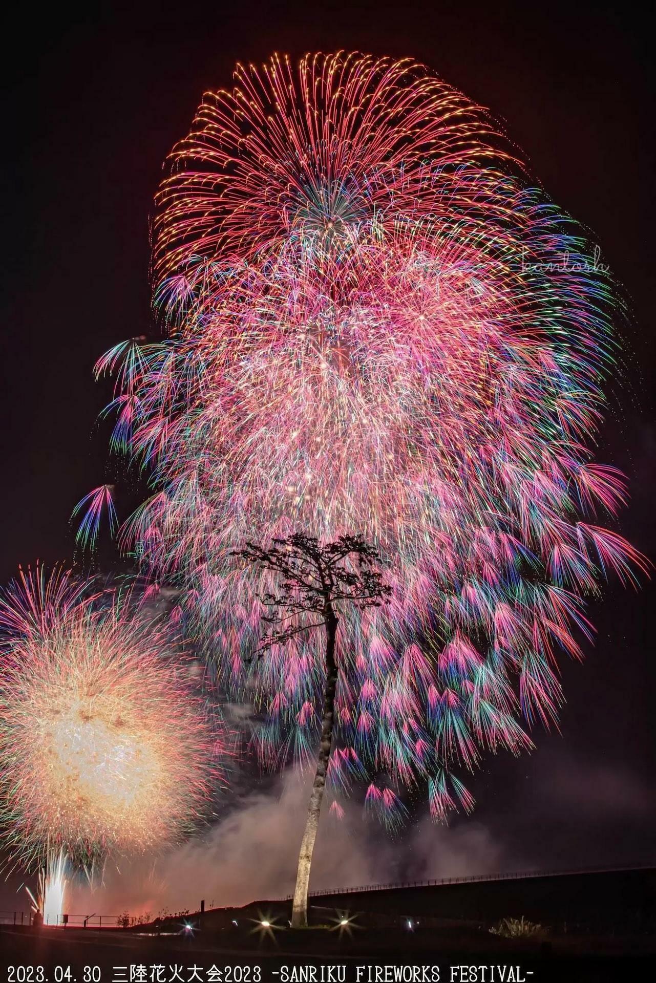 画像提供：FIREWORKS(株)