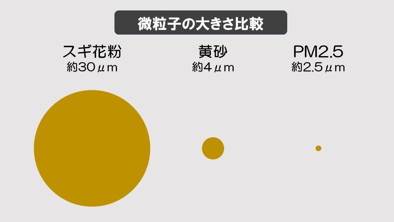 スギ花粉・黄砂・PM2.5の大きさの目安（筆者作成）。単位はμm（マイクロメートル）。