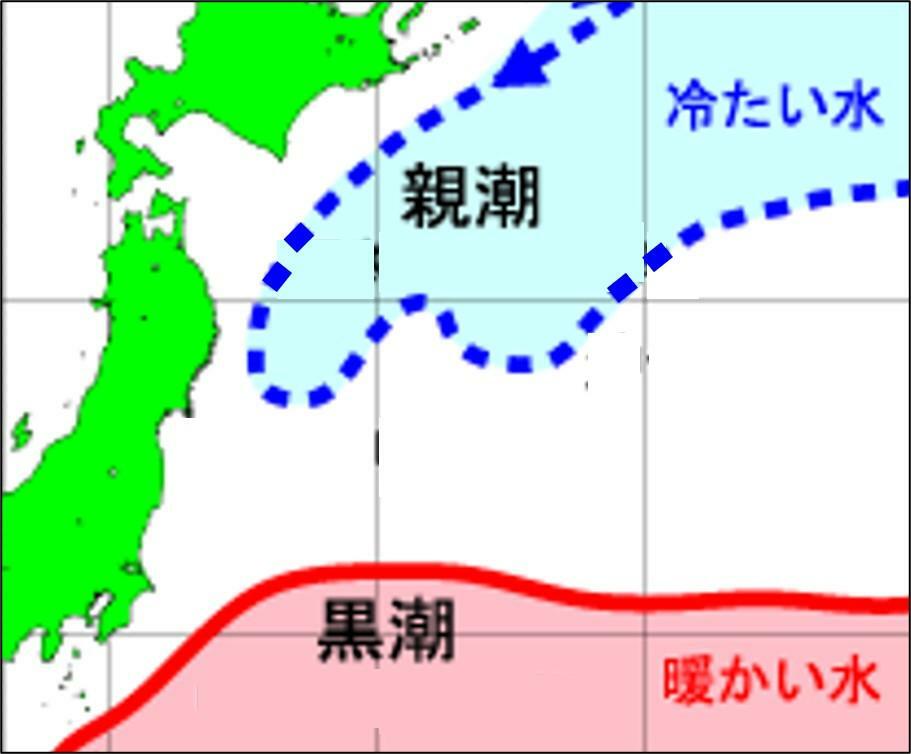 日本近海の海流（気象庁HPを元に作成）