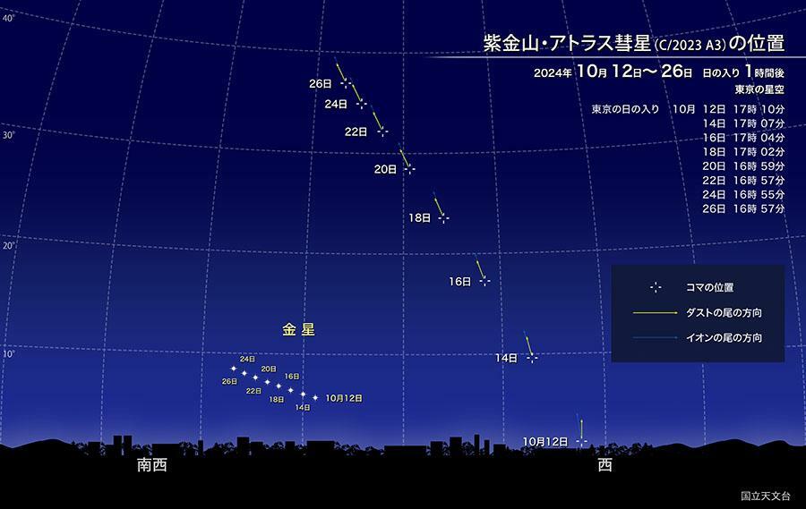 紫金山・アトラス彗星の見える位置と時間帯（クレジット：国立天文台）。