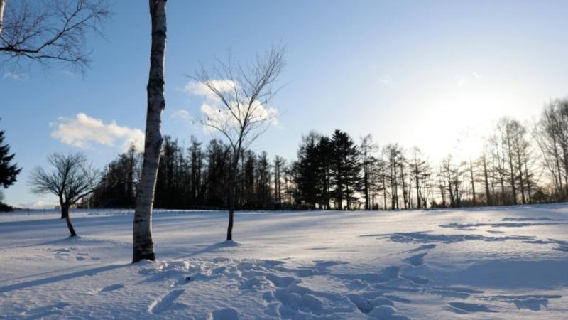 まもなく大雪ピークすぎるも…年明けは新春寒波が襲来！？「10年に一度