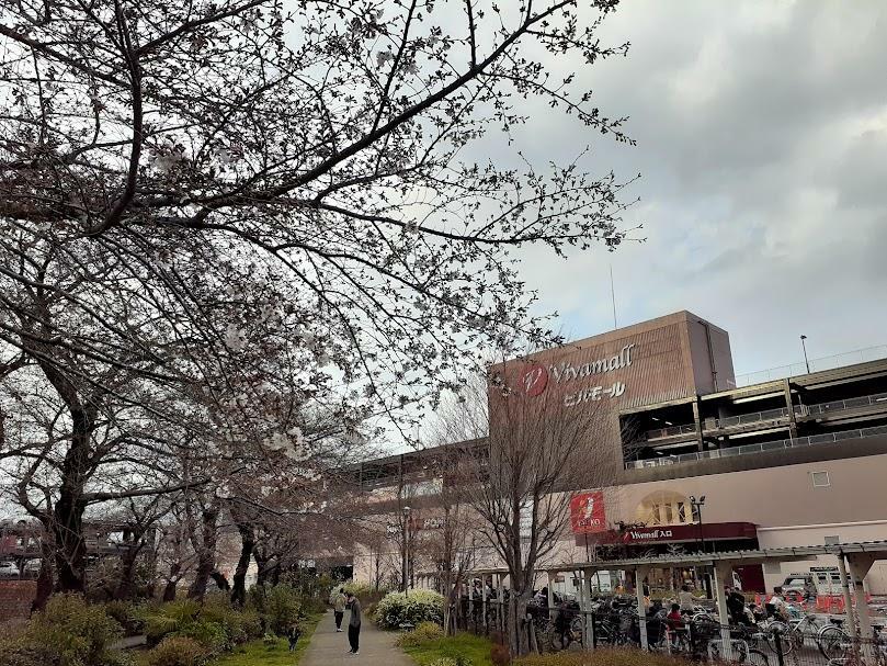 「前谷公園」付近の桜（2021年春）