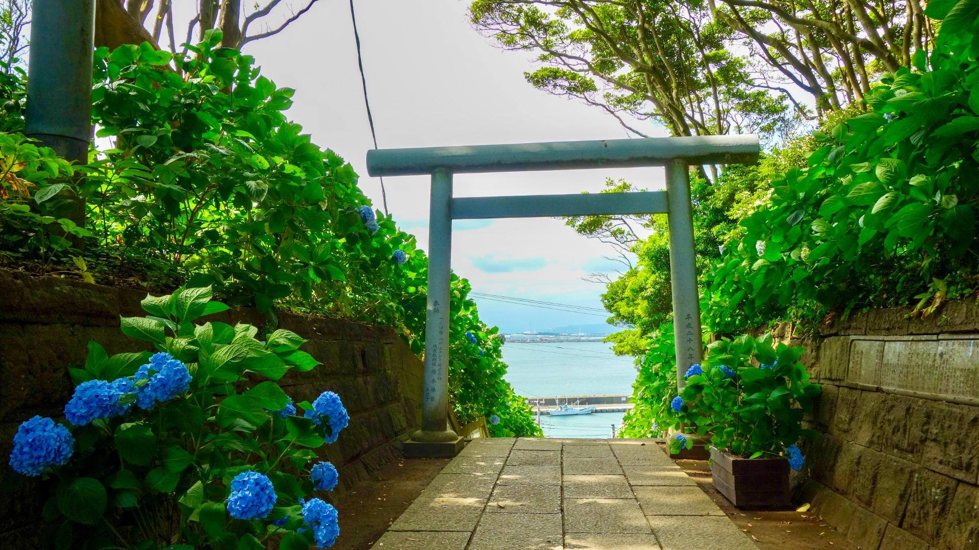 海の見える鳥居と紫陽花が美しい酒列磯前神社｜話題のアクリルお守りと季節の御朱印【ひたちなか市】（さつきうみ） - エキスパート - Yahoo!ニュース