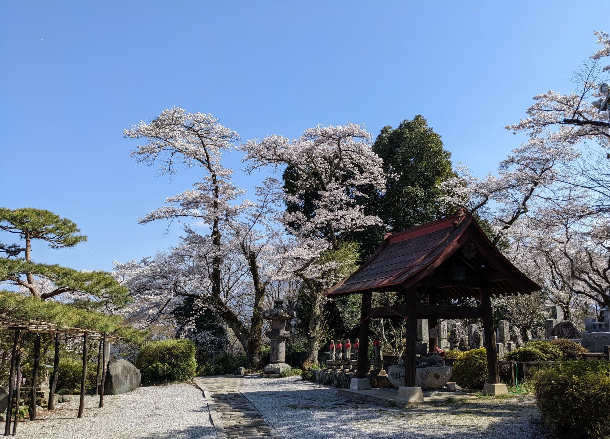 秩父34観音霊場　23番音楽寺