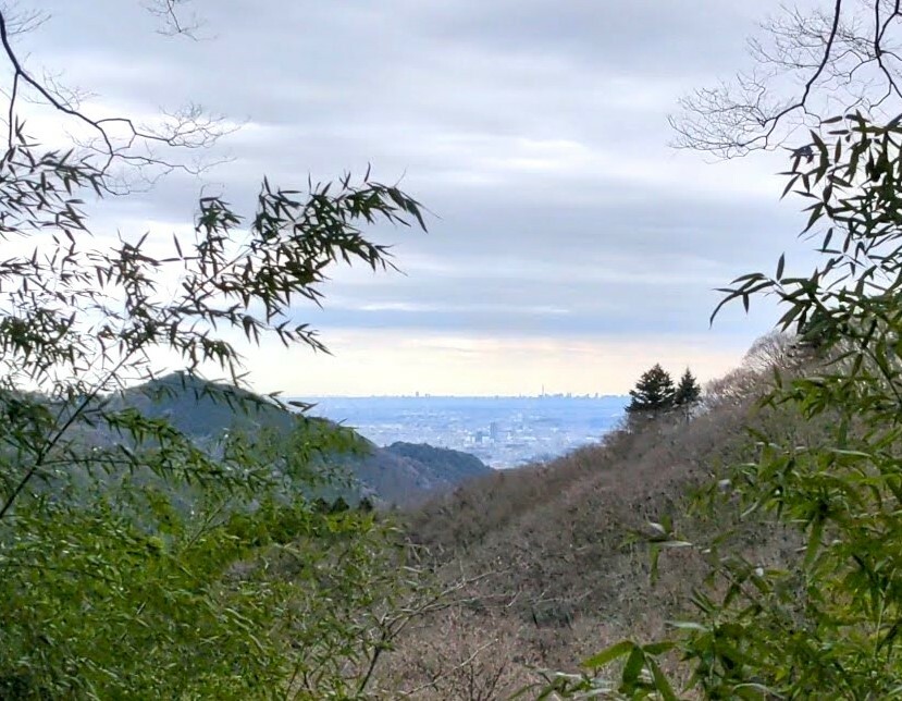 小仏峠から眺める東京の風景