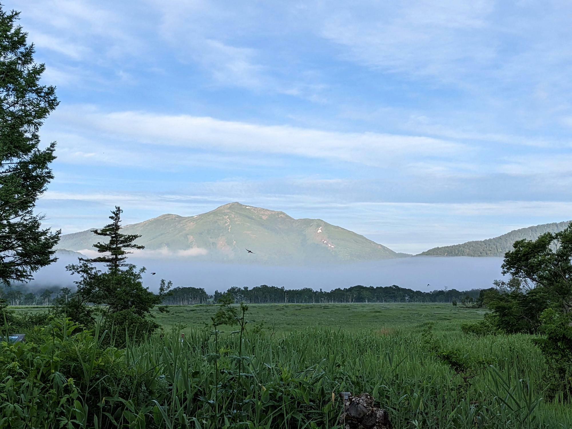 早朝の尾瀬ヶ原に霧が立ち込める幻想的な景色（5時14分見晴で撮影）
