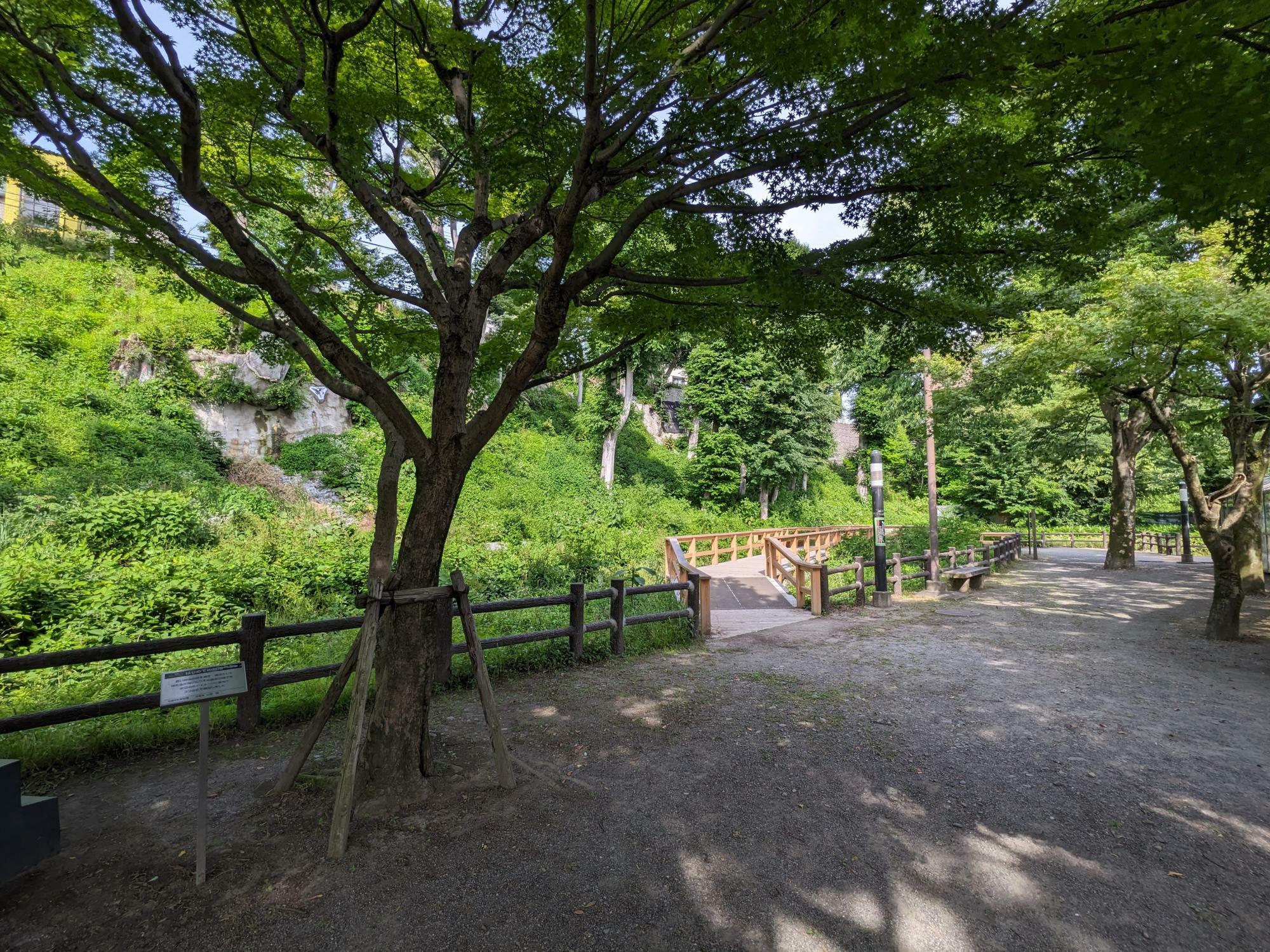 河岸段丘の崖下にあるほたる公園（東京都福生市南田園）玉川上水は段丘の上部を流れている。