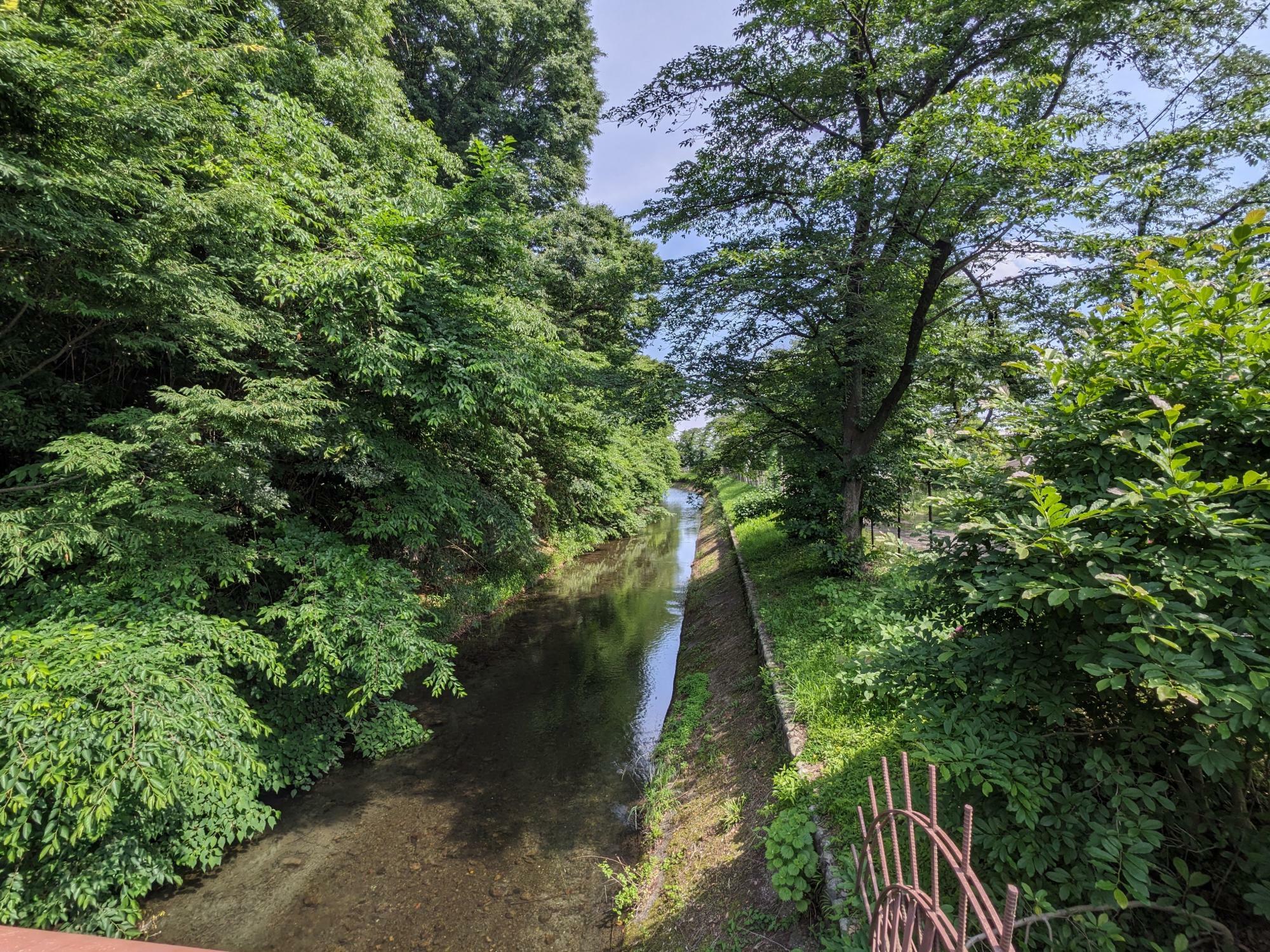 玉川上水(東京都羽村市川崎)