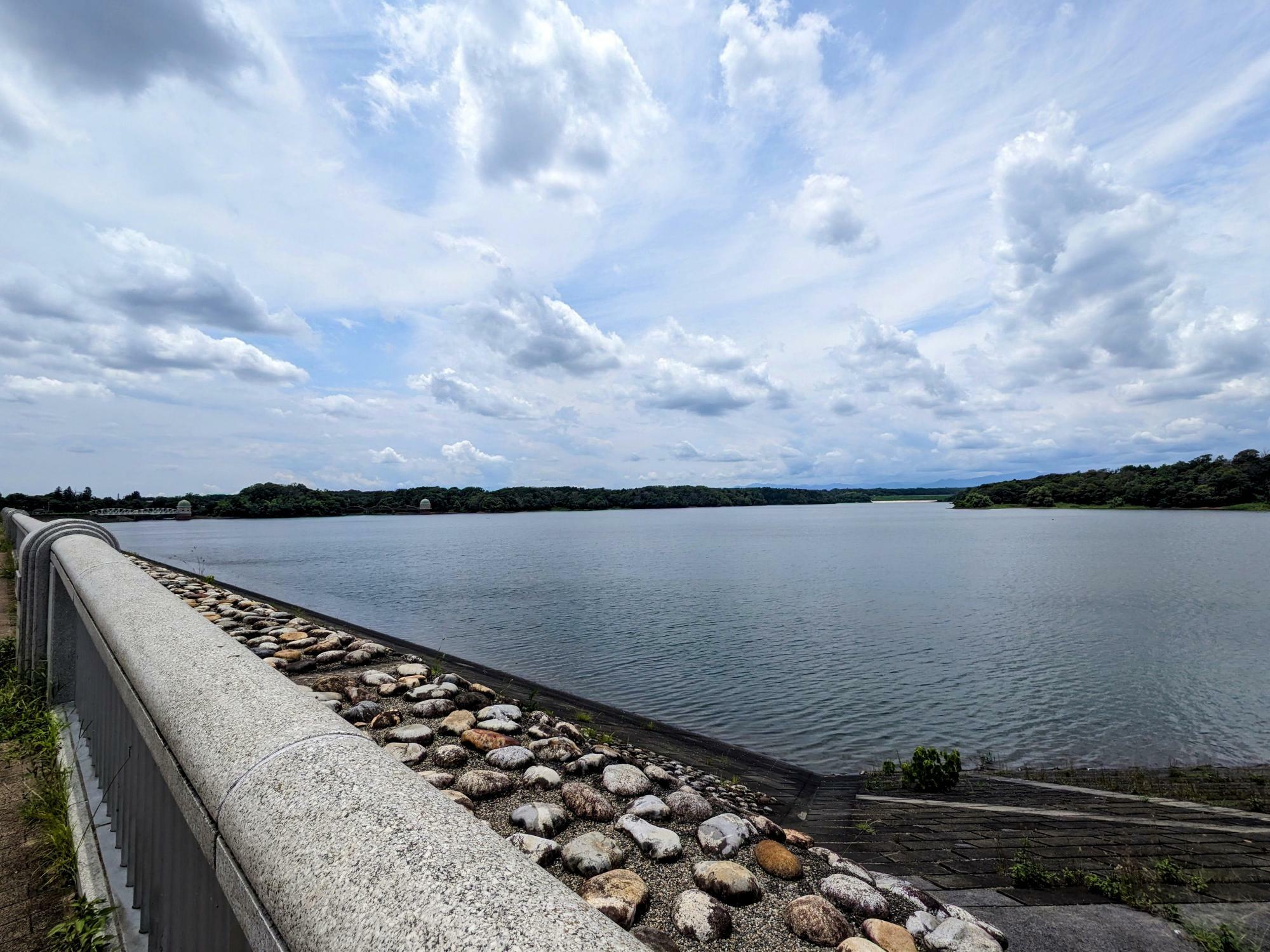 多摩湖　堤体北側より