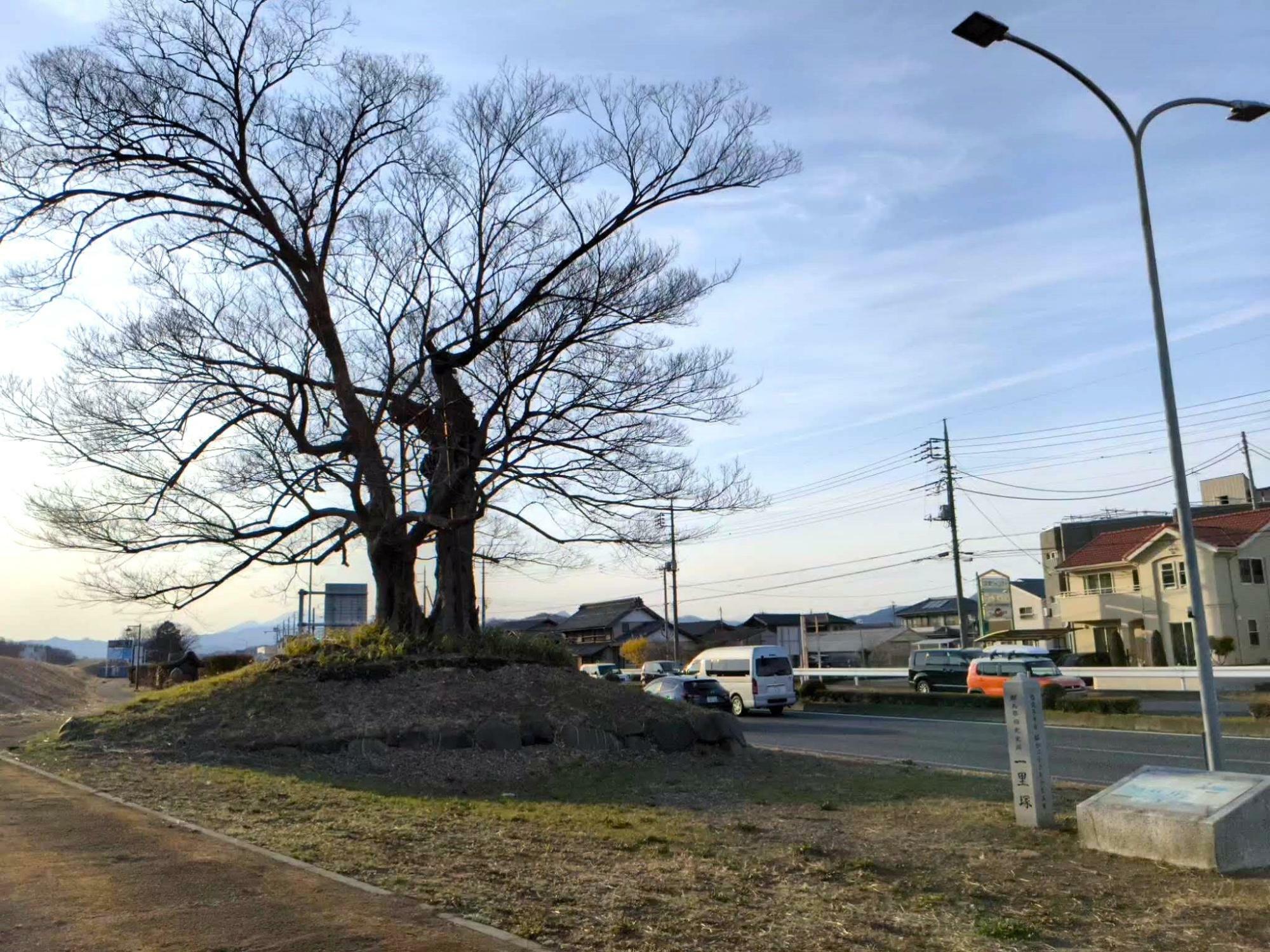 中山道28番目　藤塚の一里塚（群馬県高崎市上豊岡町）