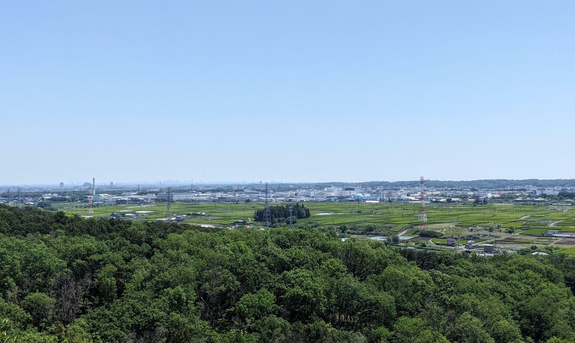 桜山展望台から都心方面の眺め