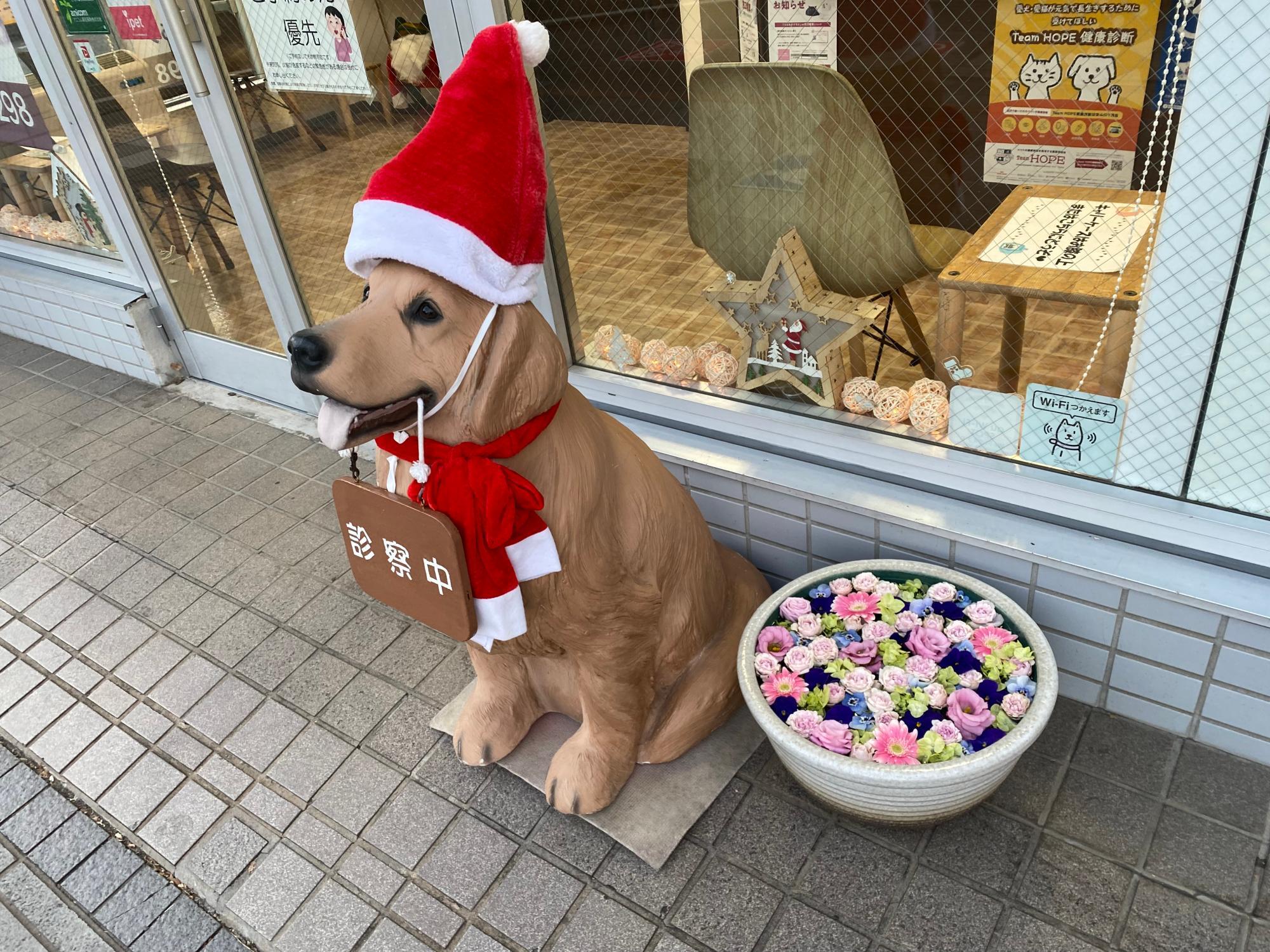 ぐるんぱ動物病院前の花手水はクリスマスの装いのワンちゃんと一緒