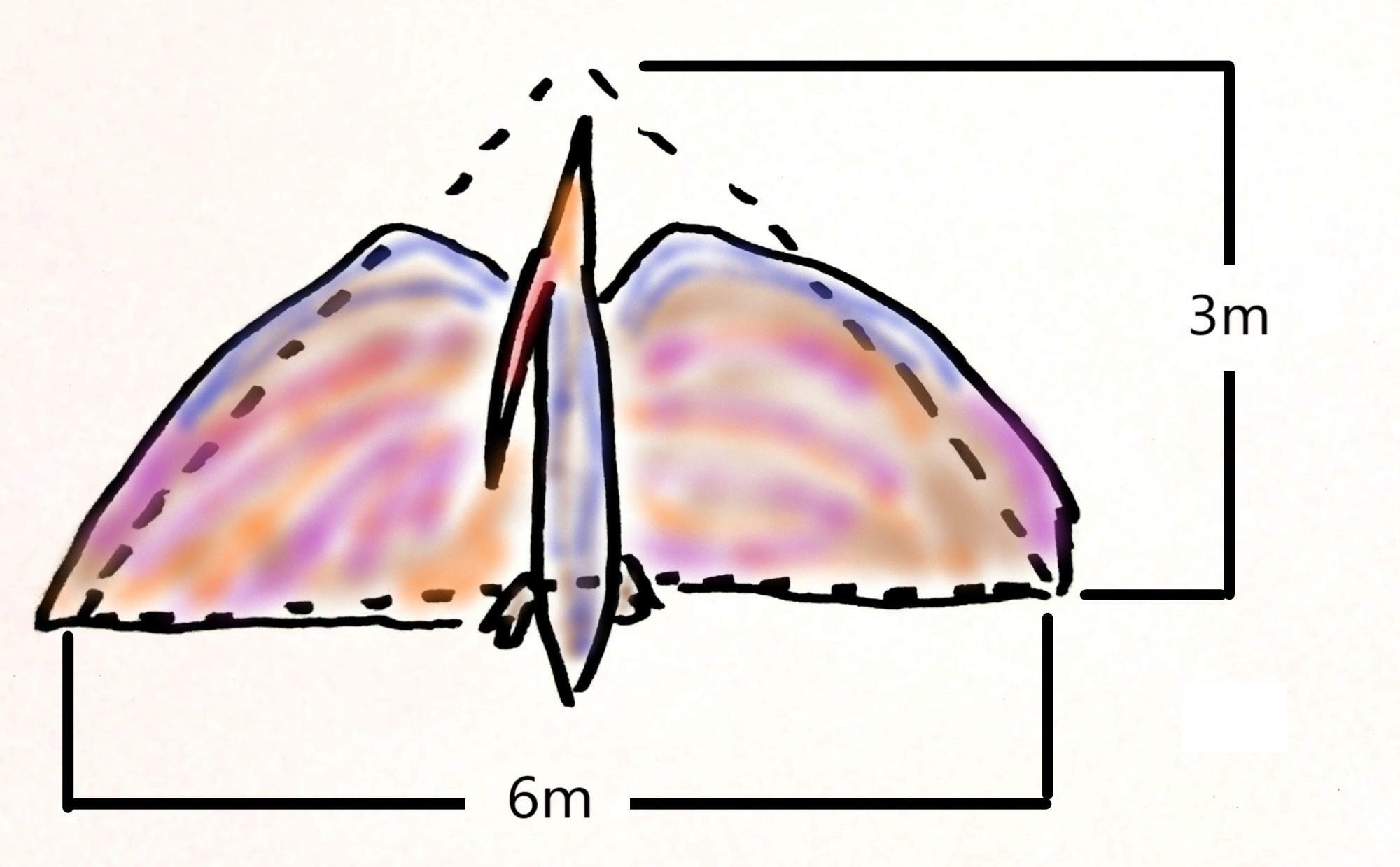 翼の面積を求める模式図