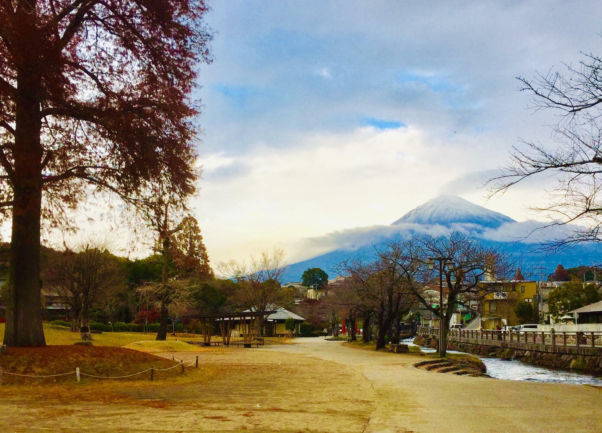 神田川ふれあい公園から見た富士山