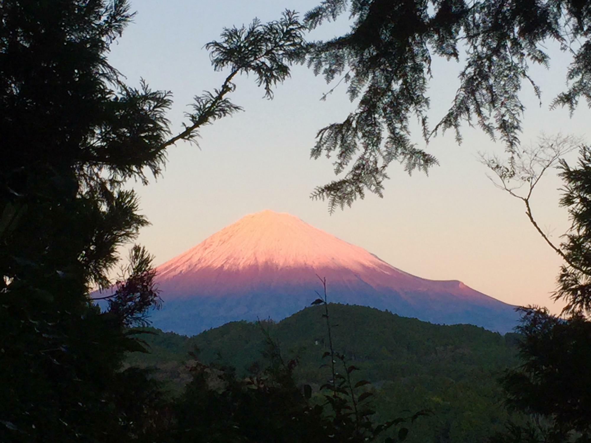 境内から望む富士山
