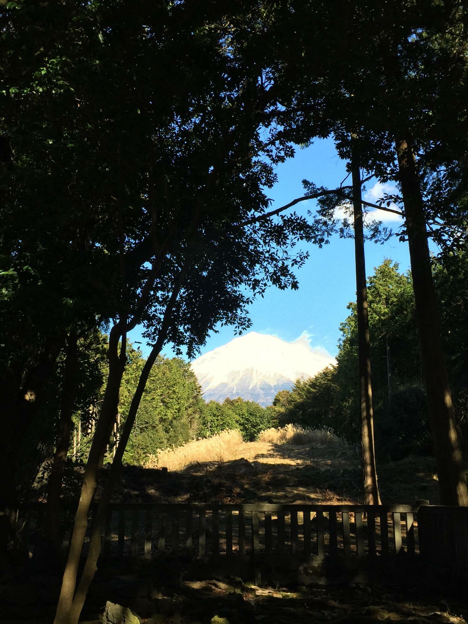 遥拝所の玉垣前から撮影した富士山