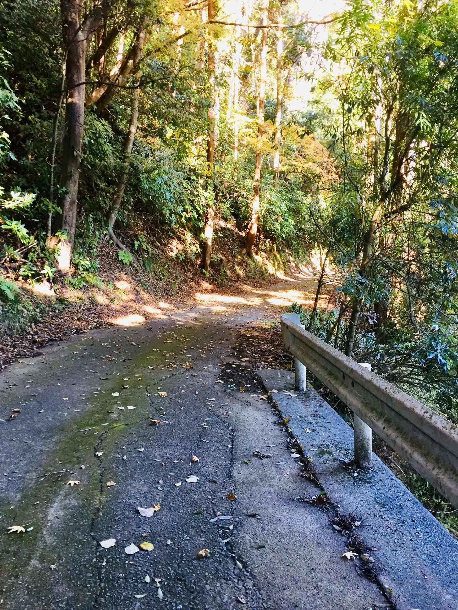 車のすれ違いも難しいくらいの細い林道です。