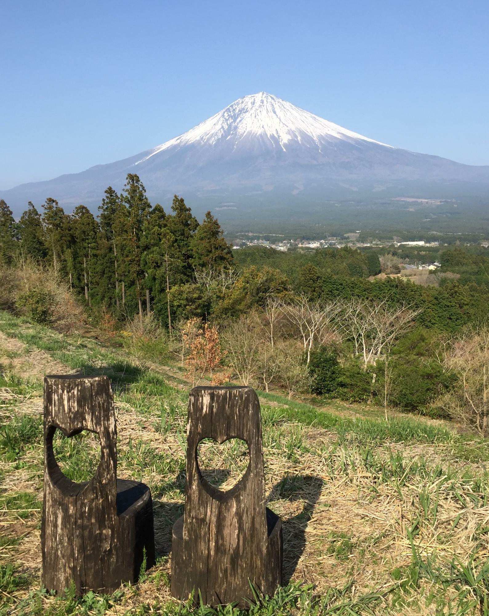 遊歩道からも綺麗に富士山が見えます。