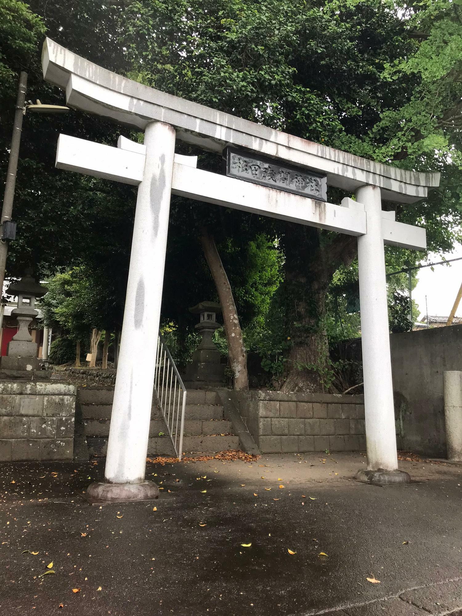 白い鳥居が目を引く杉田浅間神社