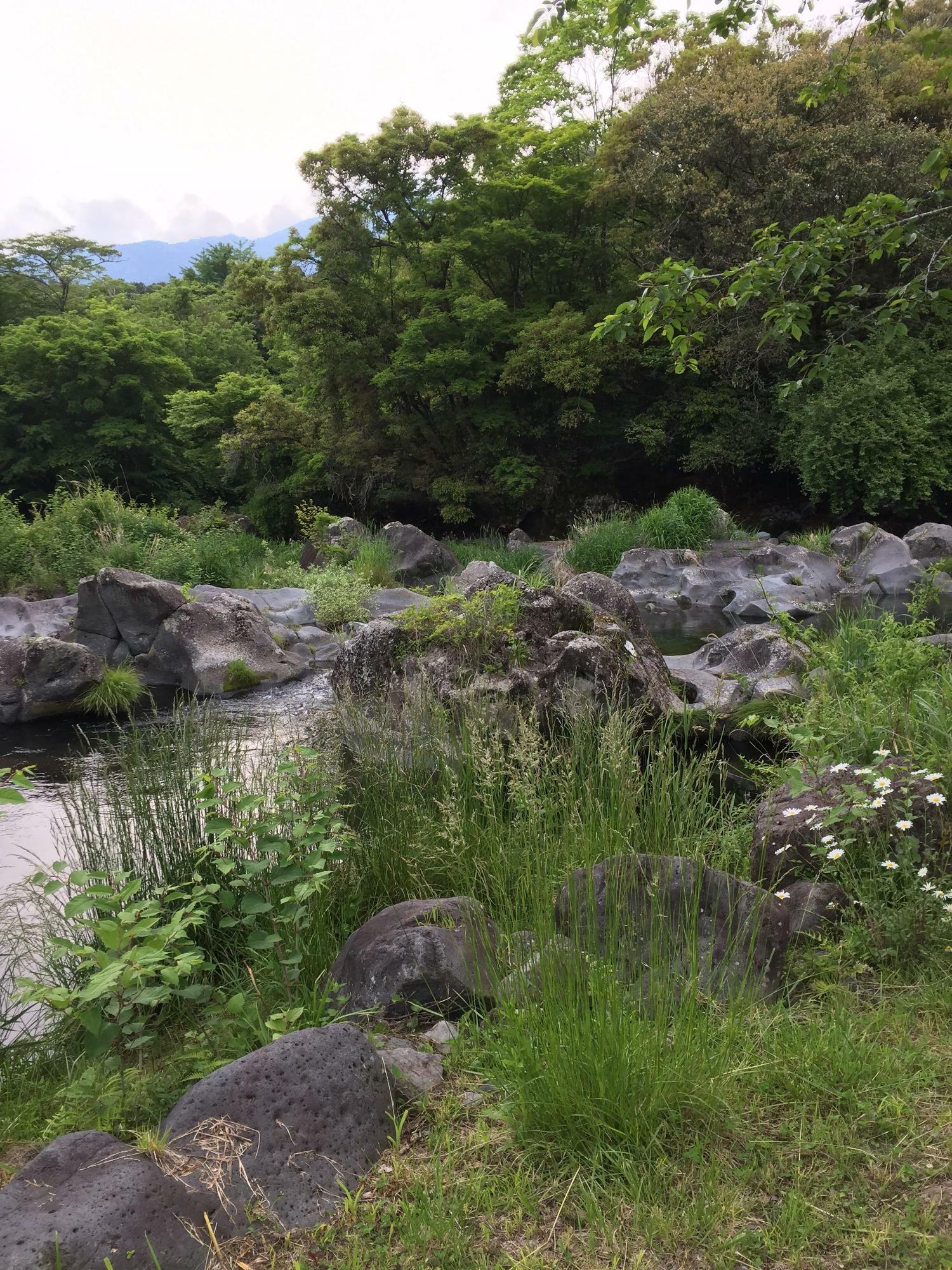 前回取材した新鬼橋付近のポットホールの写真