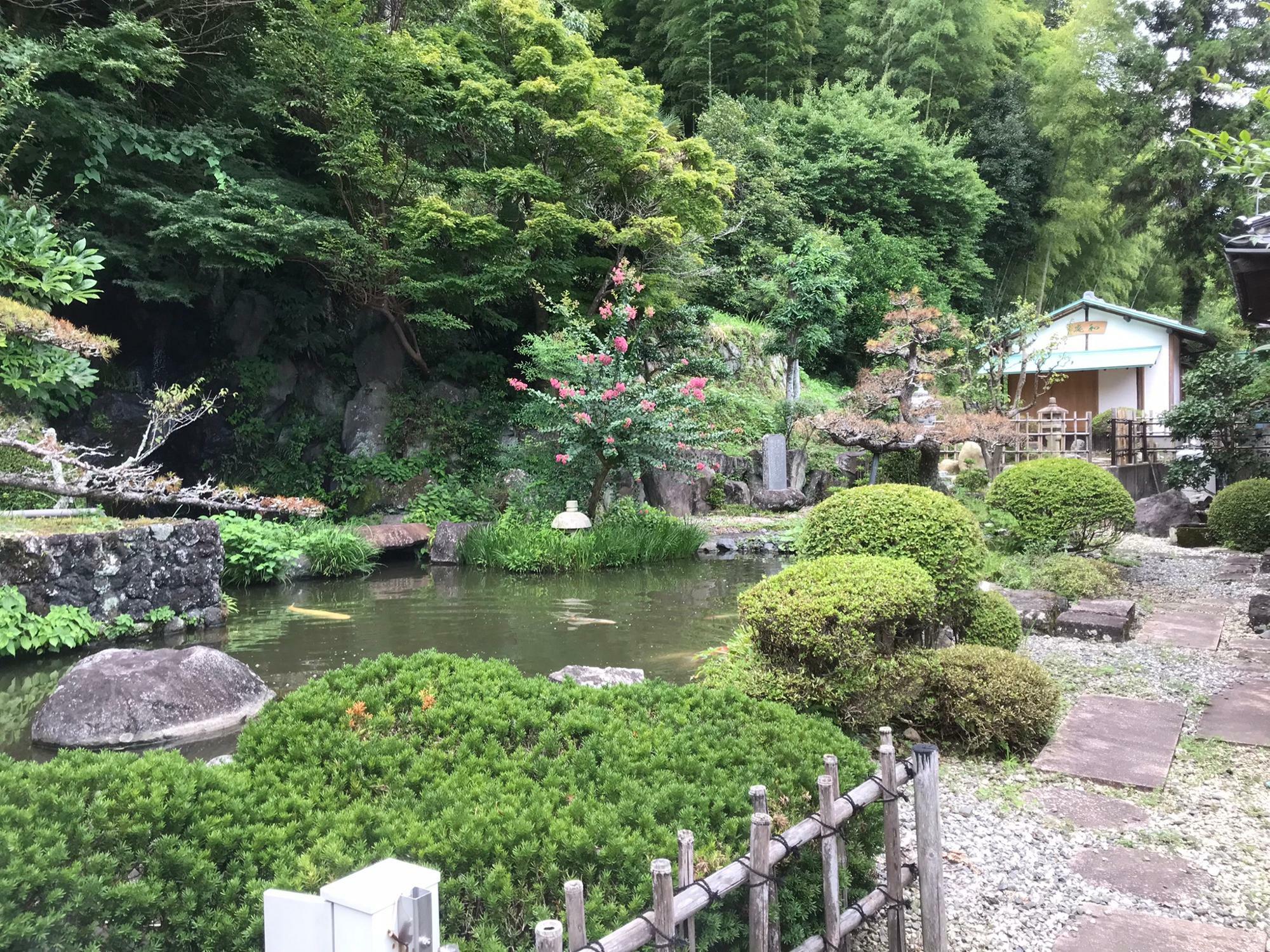 日本庭園のような庭が広がります。