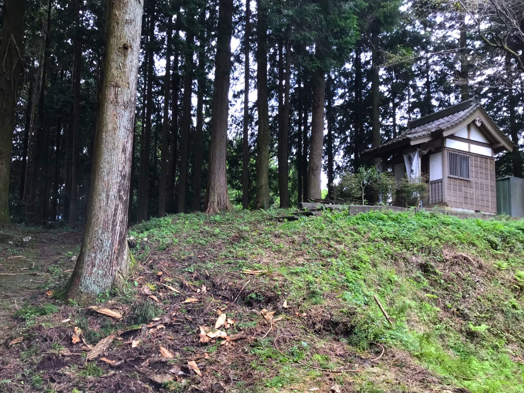 土俵よりも少し高い場所にある神殿