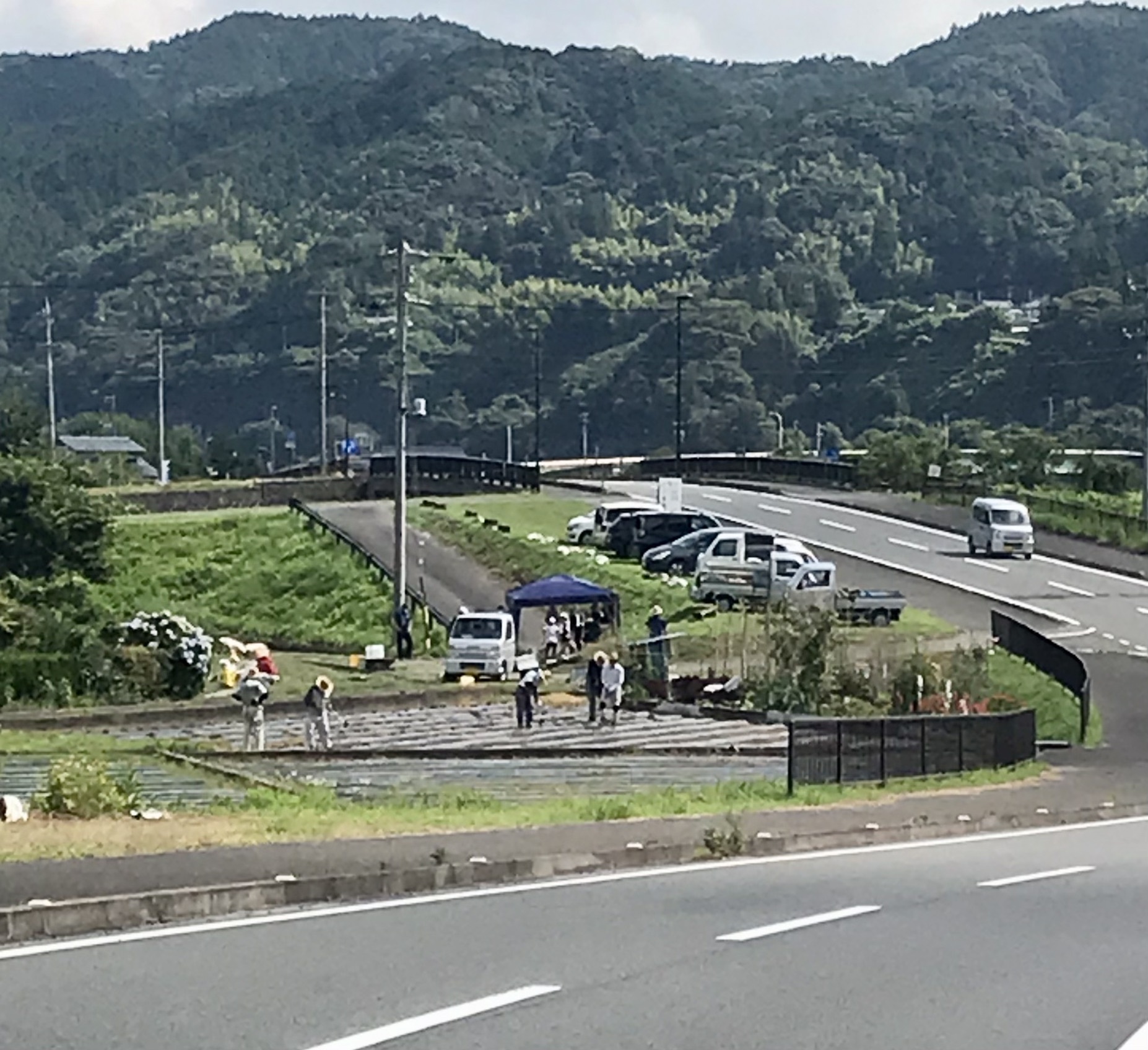 7月7日の様子