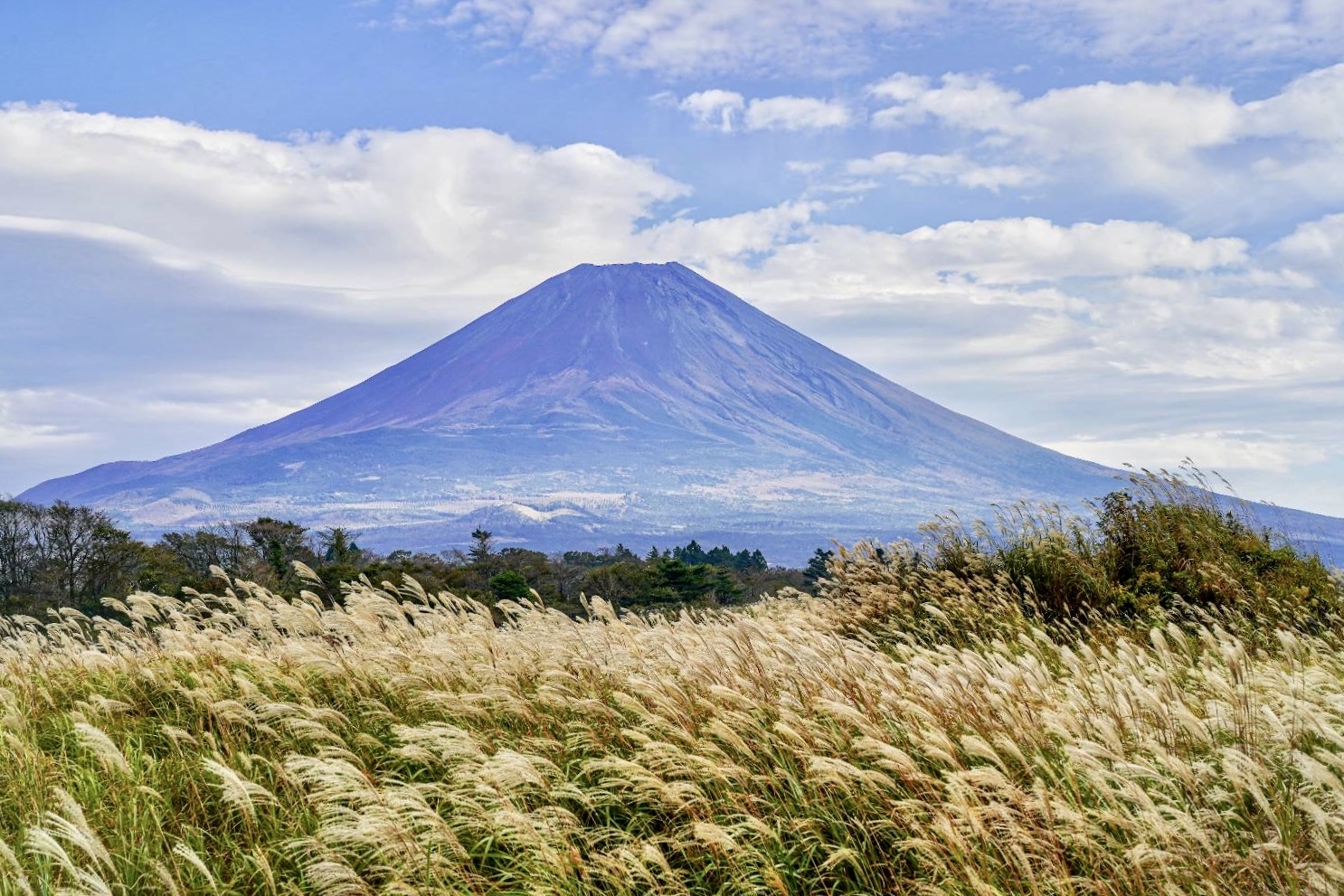 今回は綺麗な景色を見ることができました