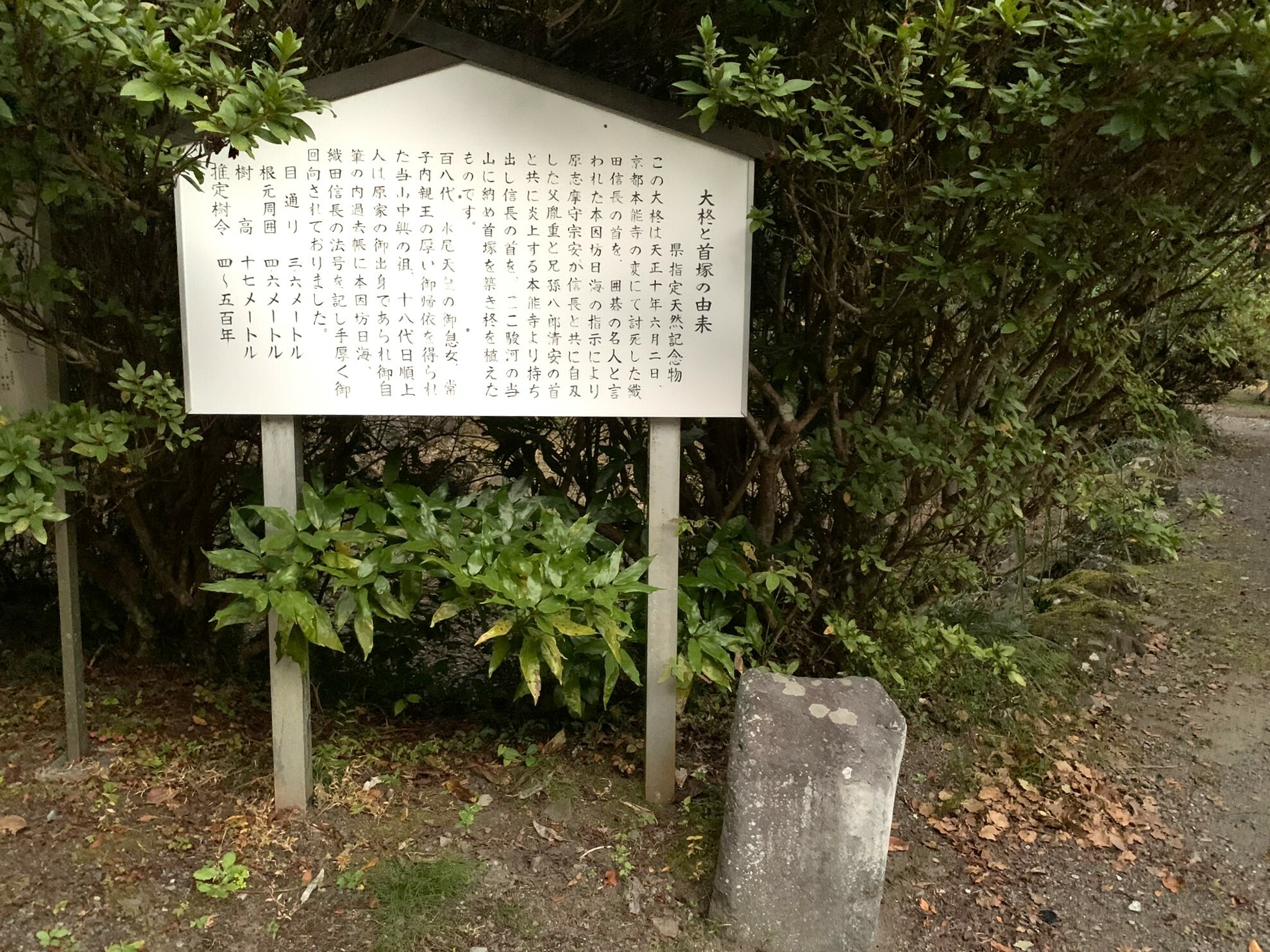 大柊と首塚の由来の書かれた看板